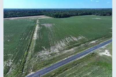 Tbd Cowpen Swamp Road, Fairmont, NC 28340 - Photo 1