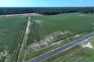 Tbd Cowpen Swamp Rd, Fairmont, NC 28340 - Photo 1