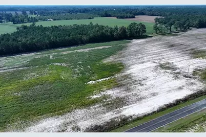 Tbd Cowpen Swamp Road, Fairmont, NC 28340 - Photo 1