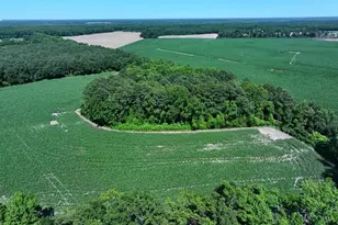 Tbd Nc Hwy 71 Hwy, Red Springs, NC 28377 - Photo 1