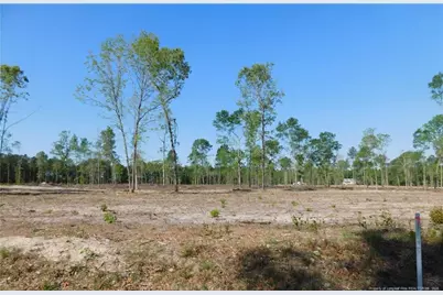 Lot 4 Nc 904 Highway, Fairmont, NC 28340 - Photo 1