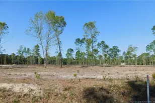 Lot 4 Nc 904 Hwy, Fairmont, NC 28340 - Photo 1