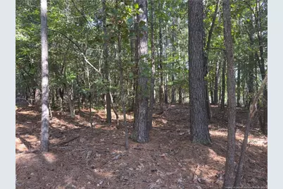 87 Canterbury Road, Sanford, NC 27332 - Photo 1