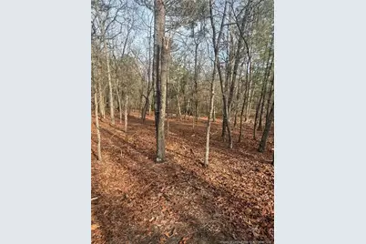 0 Gully Branch Road, Raeford, NC 28376 - Photo 1