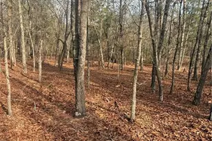 0 Gully Branch Rd, Raeford, NC 28376 - Photo 1