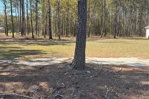 4401 E Huckleberry Dr, Eastover, NC 28312 - Photo 1