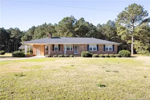 5424 Bonnetsville Rd, Clinton, NC 28328 - Photo 1
