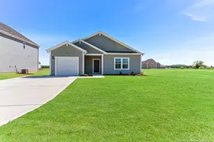 2203 Nahunta Rd, Pikeville, NC 27863 - Photo 1