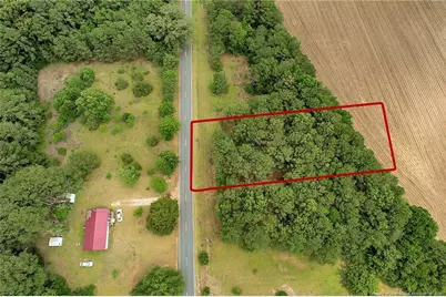 Tbd Quick Road, Lumber Bridge, NC 28357 - Photo 1