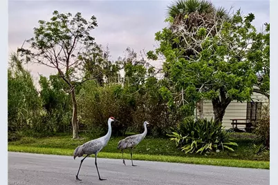 14459 River Beach Dr W #221, Port Charlotte, FL 33953 - Photo 39