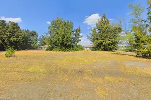 2501 NW 11th Terrace, Cape Coral, FL 33993 - Photo 1