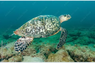 1024 NE 23rd Ter, Cape Coral, FL 33909 - Photo 7