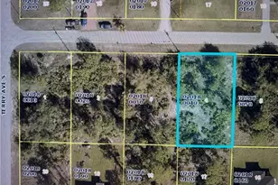 3513 5th St SW, Lehigh Acres, FL 33976 - Photo 1