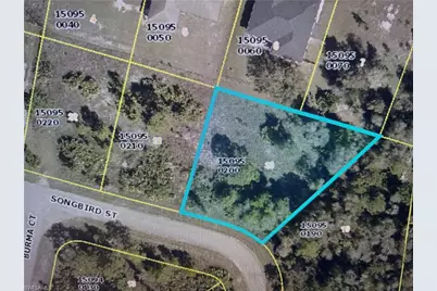 1263 Songbird St, Fort Myers, FL 33913 - Photo 1