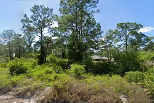 1213 Edison Ave, Lehigh Acres, FL 33972 - Photo 1