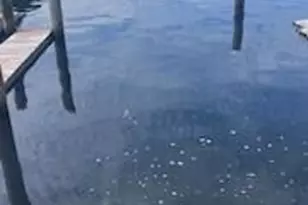 16917 Captains Dr, Bokeelia, FL 33922 - Photo 3