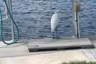 16917 Captains Dr, Bokeelia, FL 33922 - Photo 17