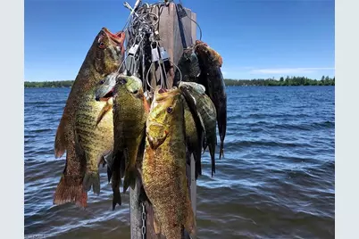 359 Austin Ave, Lehigh Acres, FL 33974 - Photo 3