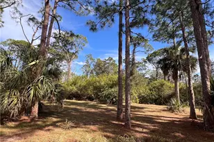 2002 Truman Ave, Alva, FL 33920 - Photo 25