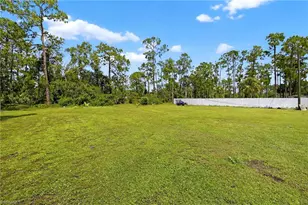 713 Canton Ave, Lehigh Acres, FL 33972 - Photo 29