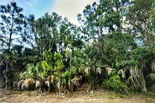 14281 Massey Ave, Port Charlotte, FL 33953 - Photo 1