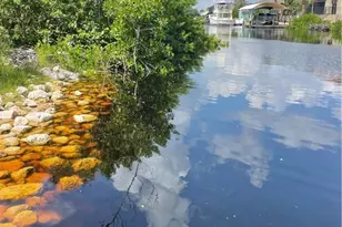 18286 Van Nuys Cir, Port Charlotte, FL 33948 - Photo 1