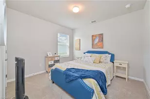 8908 Cascade Price Cir, North Fort Myers, FL 33917 - Photo 29