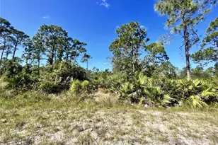 12247 Catridge Cir, Punta Gorda, FL 33955 - Photo 1