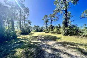 13238 Cannes Dr, Punta Gorda, FL 33955 - Photo 1