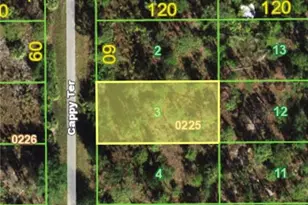 13358 Cappy Terrace, Punta Gorda, FL 33955 - Photo 1