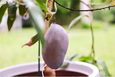 1771 Coral Way, North Fort Myers, FL 33917 - Photo 31