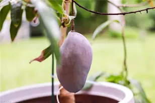 1771 Coral Way, North Fort Myers, FL 33917 - Photo 31