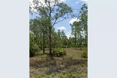 1114 Moore Ave, Lehigh Acres, FL 33972 - Photo 5