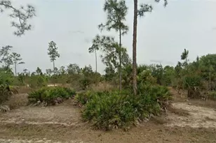 1002 Glenn Ave, Lehigh Acres, FL 33972 - Photo 1