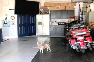 175 Shadroe Cove Cir, Cape Coral, FL 33991 - Photo 33