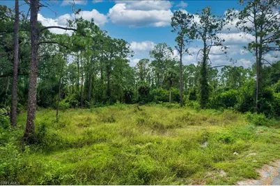 1116 Prospect Ave, Lehigh Acres, FL 33972 - Photo 3