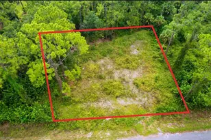 1116 Prospect Ave, Lehigh Acres, FL 33972 - Photo 1