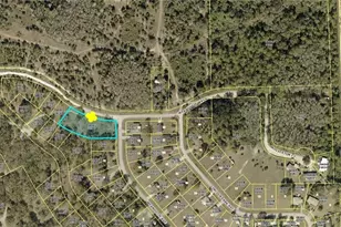 2138 Wyandotte Ave, Alva, FL 33920 - Photo 1