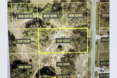 1621 Canton Ave, Lehigh Acres, FL 33972 - Photo 1