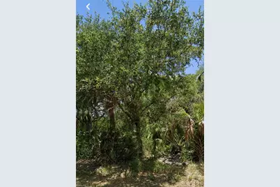 1621 Canton Ave, Lehigh Acres, FL 33972 - Photo 7