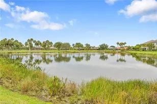 3791 Pebblebrook Ridge Ct, Fort Myers, FL 33905 - Photo 27