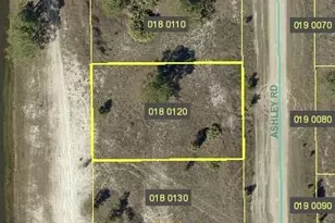 824 Ashley Rd, Lehigh Acres, FL 33974 - Photo 1