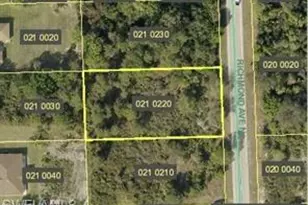 919 Richmond Ave N, Lehigh Acres, FL 33972 - Photo 1