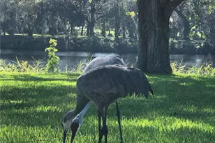 3145 Shell Ln, Fort Denaud, FL 33935 - Photo 15