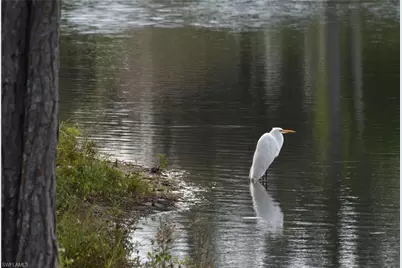 13779 Golden Palms Cir, Fort Myers, FL 33913 - Photo 19