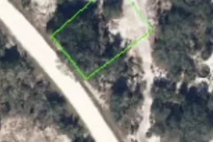 305 Wildwood Dr, Lake Placid, FL 33852 - Photo 1