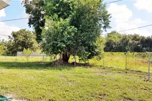 434 Buena Vista Blvd S, Fort Myers, FL 33905 - Photo 19