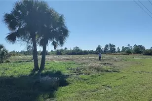 769 Joponica Ave S, Lehigh Acres, FL 33974 - Photo 1