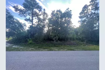 1804 Dewitt Ave N, Lehigh Acres, FL 33971 - Photo 3