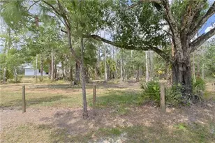 19401 Witts End, Alva, FL 33920 - Photo 47